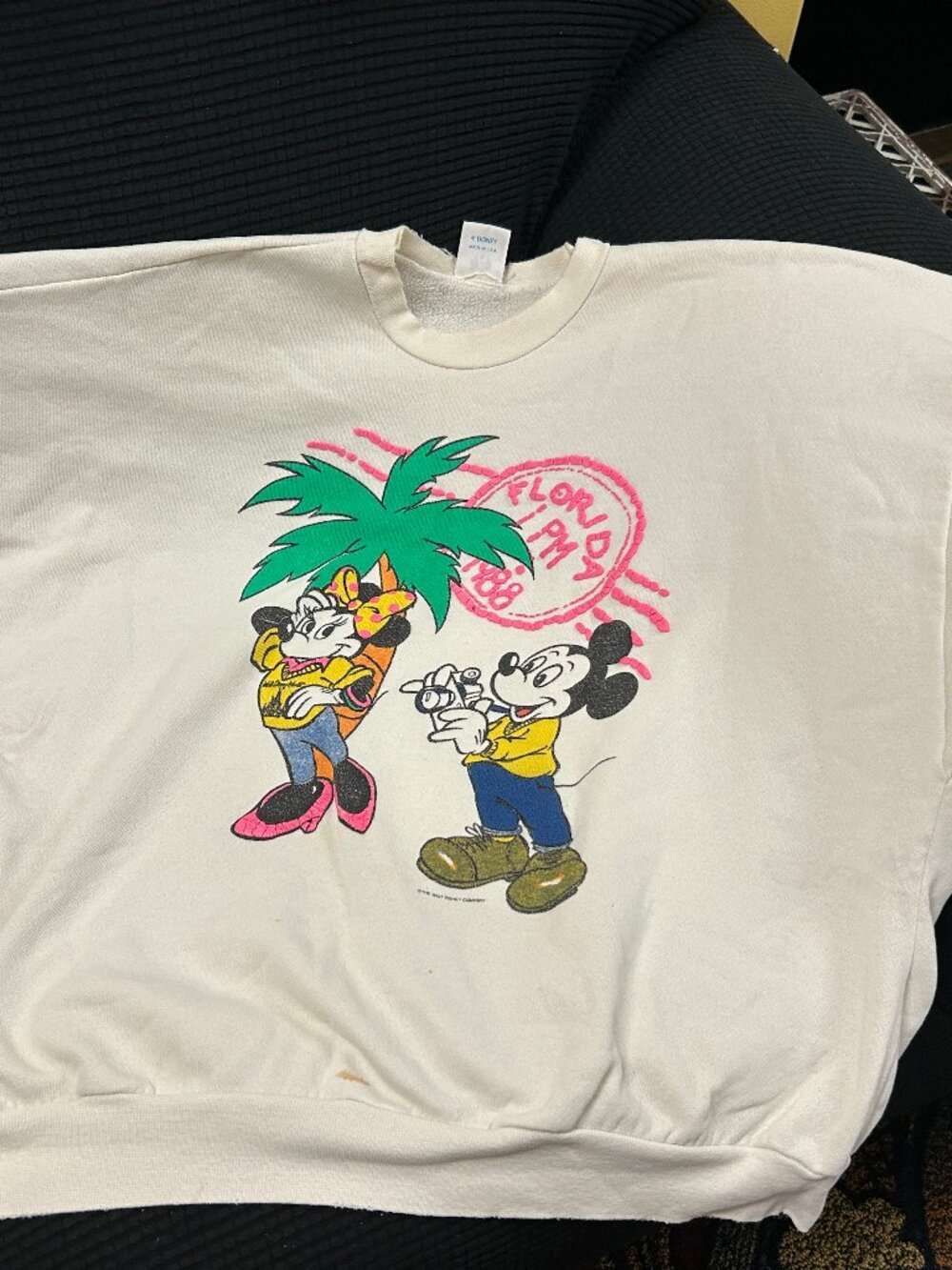 Vintage 1988 Minnie Mouse and Mickey Mouse Sweatshirt from Florida